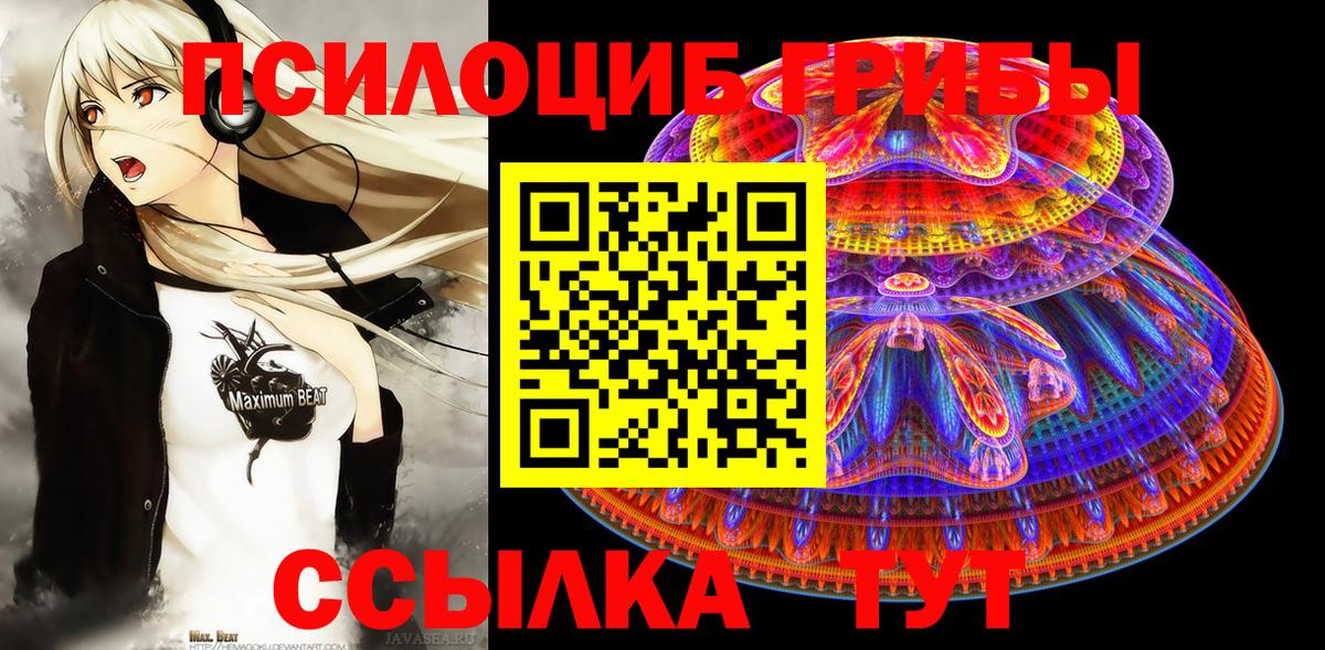 Галлюциногенные грибы Cubensis Калуга