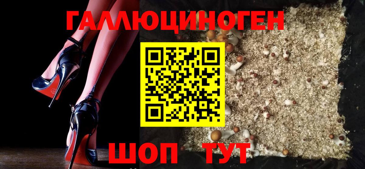 купить закладку  Вход с VPN  Калуга  Псилоцибиновые грибы прущие грибы 